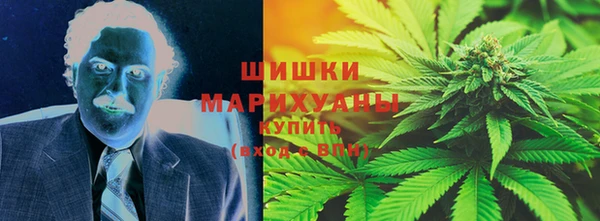 стаф Богородицк