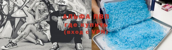стаф Богородицк